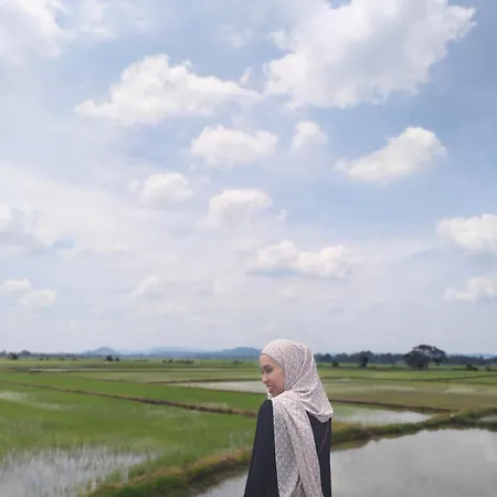 Deen Paddy View Wifi 3 Airconds